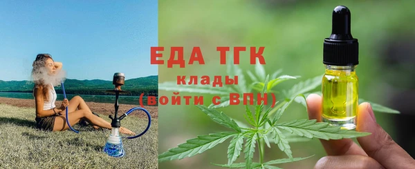 индика Аркадак