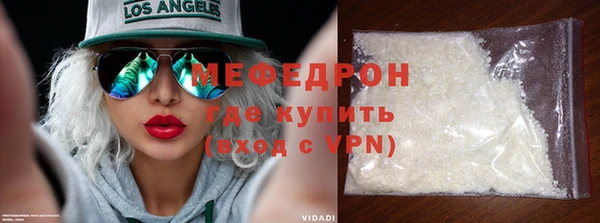 индика Аркадак