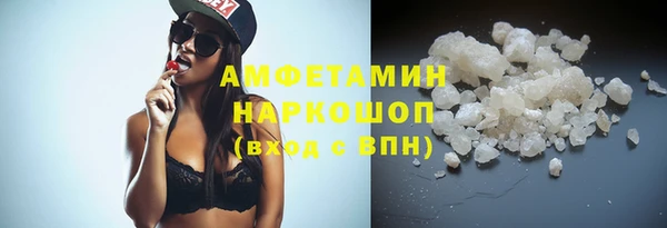 индика Аркадак