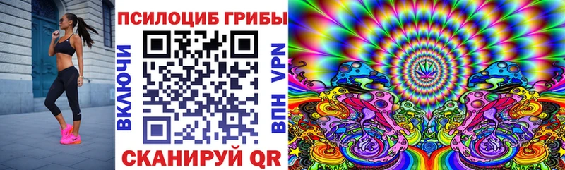 omg зеркало Спасск-Рязанский Псилоцибиновые грибы Magic Shrooms